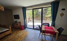 Willa Szewcula Apartament Beskidek